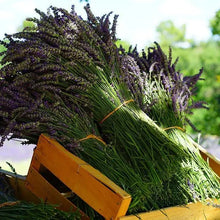 Load image into Gallery viewer, Sweet Dreams Wax Melt