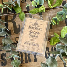 Load image into Gallery viewer, Spirit of the Everglades Wax Melt