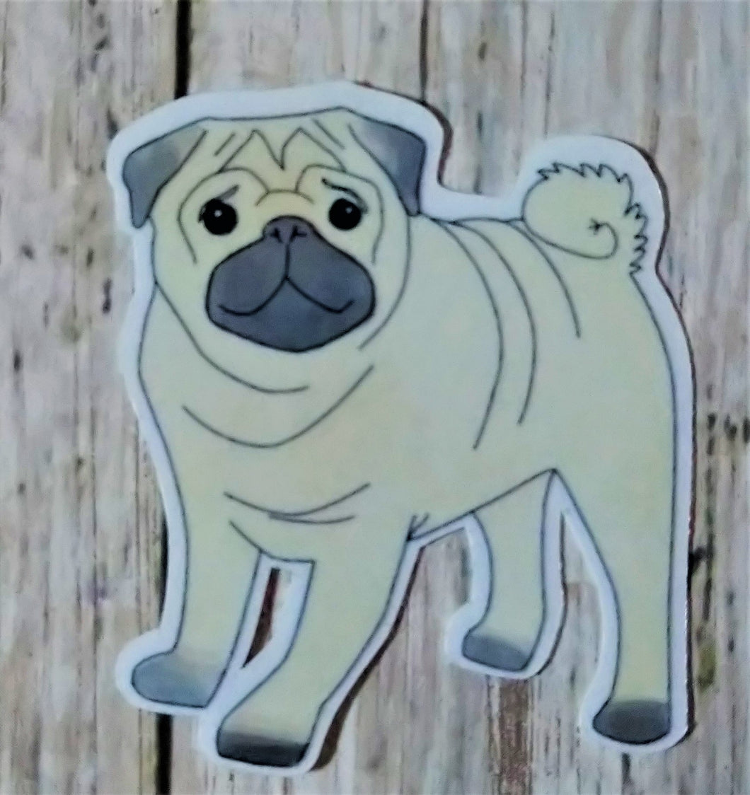 Pug